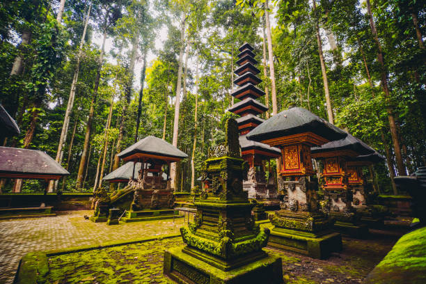 Bali Wellness Sanctuary